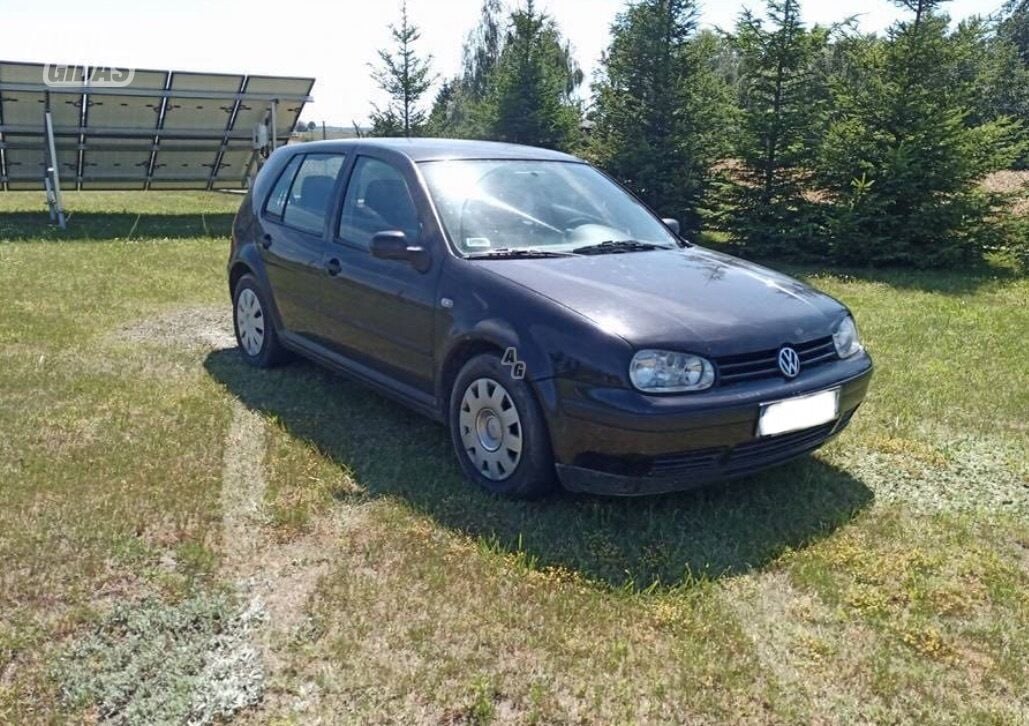 Volkswagen Golf 2000 y Hatchback