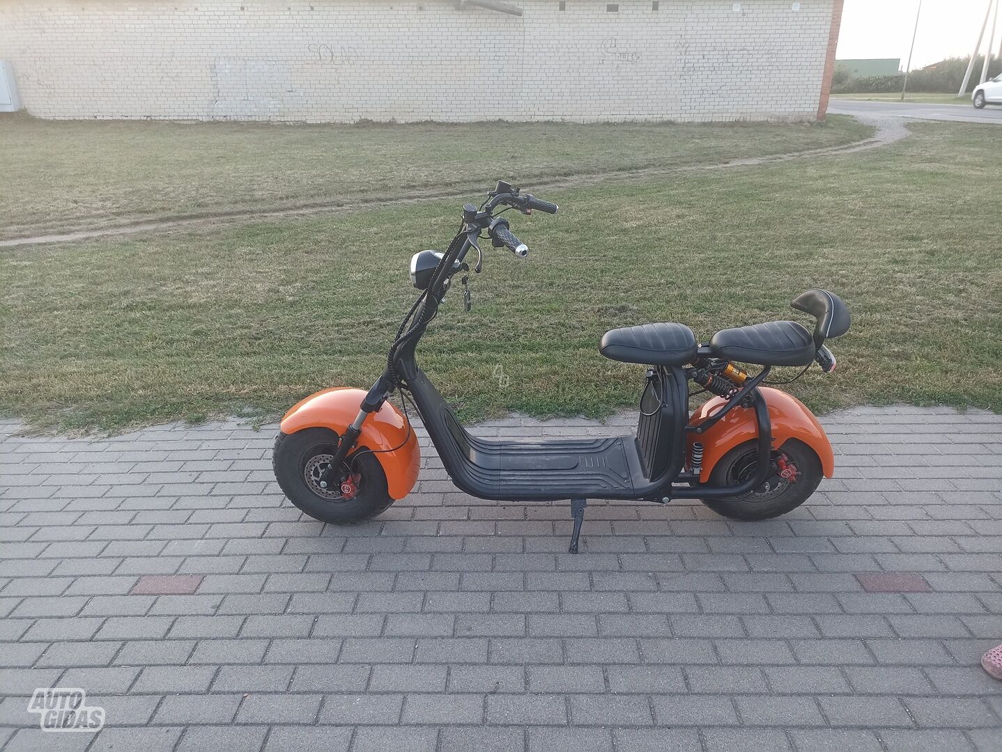 Citycoco Electric scooter