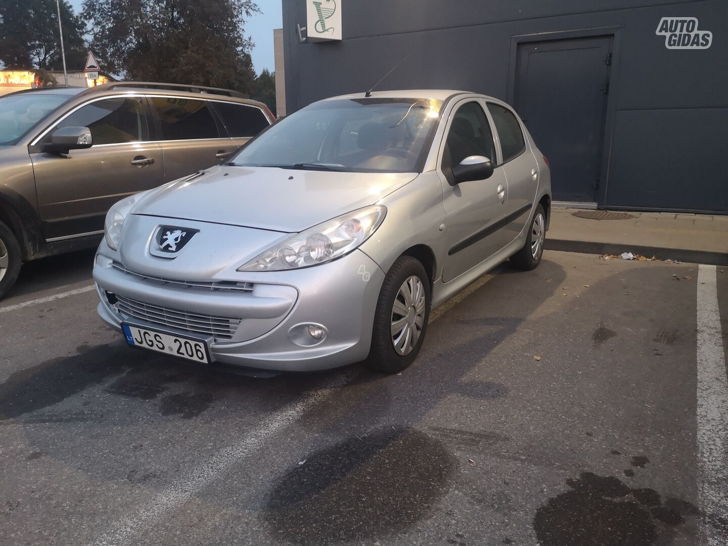 Peugeot 206 2010 y Hatchback