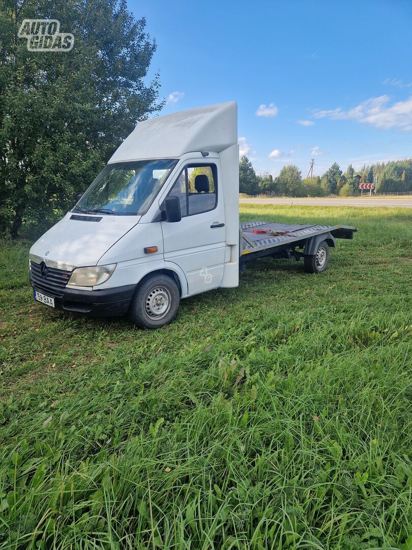 Mercedes-Benz Sprinter 313 2000 m Autovėžis