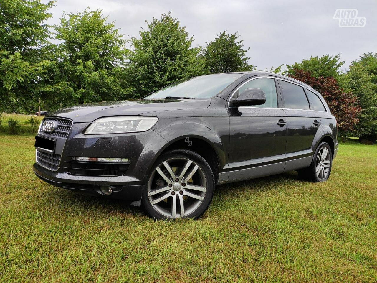 Audi Q7 2007 m Visureigis / Krosoveris