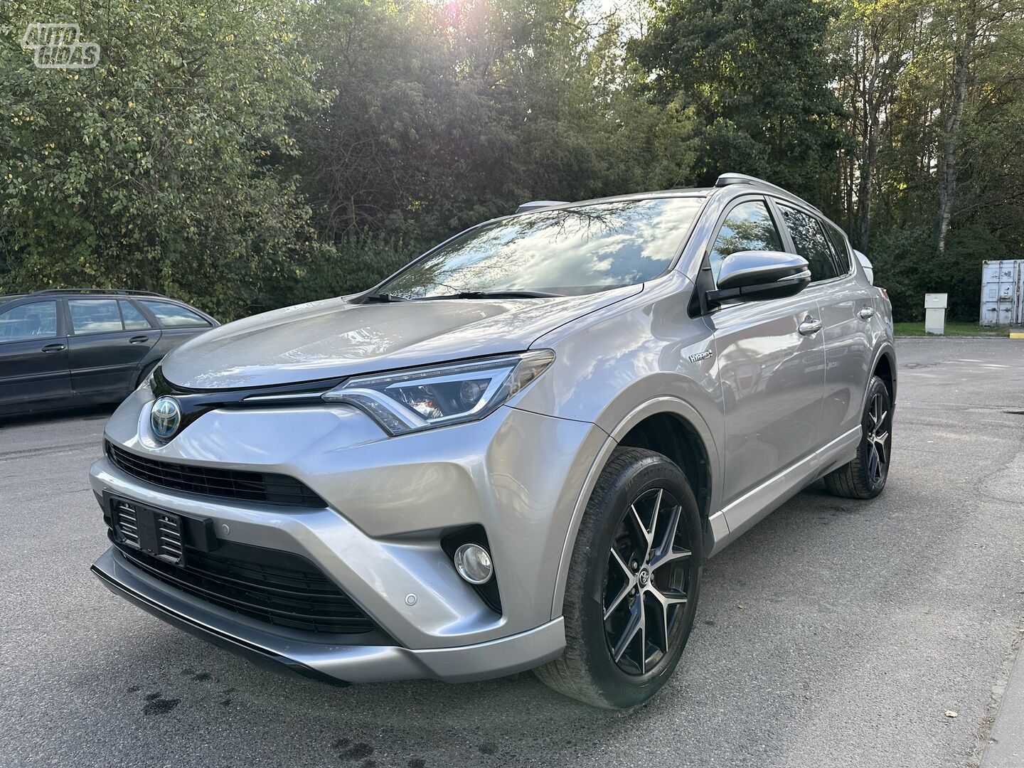 Toyota RAV4 13318 2017 y