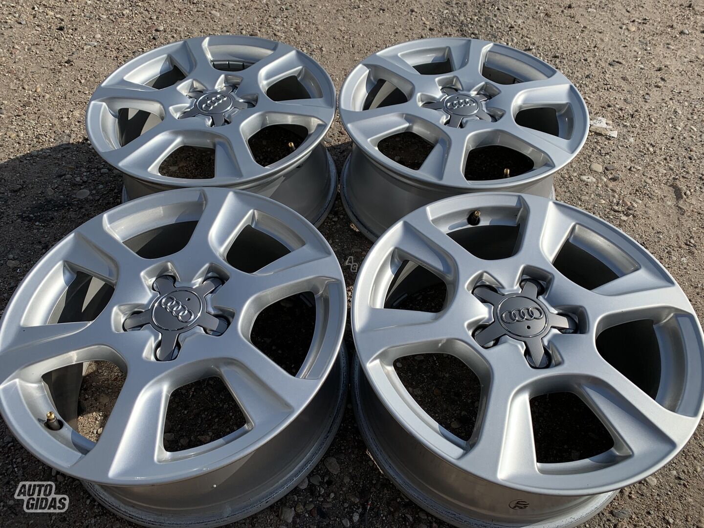 Audi Siunciam, 7,5J ET46 light alloy R16 rims