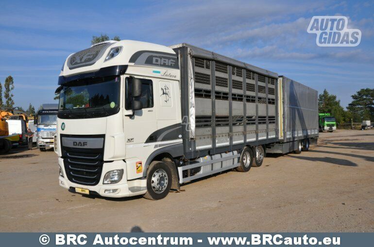 DAF XF 460 FAR 2016 m