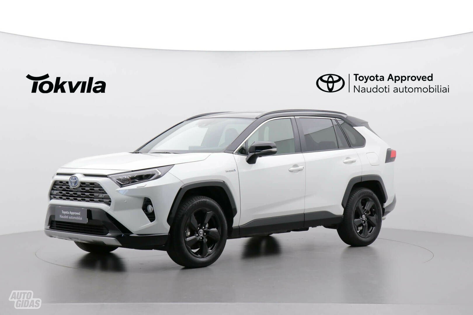 Toyota RAV4 2021 m Visureigis / Krosoveris