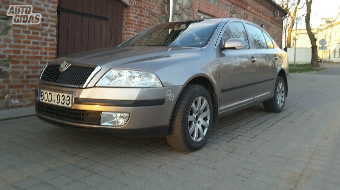 Skoda Octavia 2007 m Hečbekas