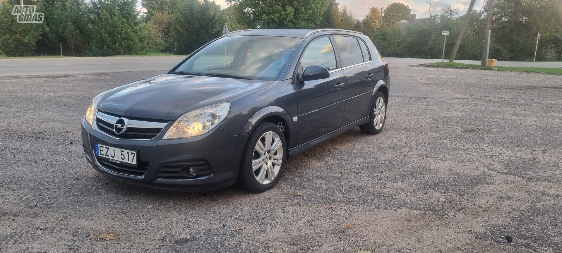 Opel Signum 2006 г Хэтчбек