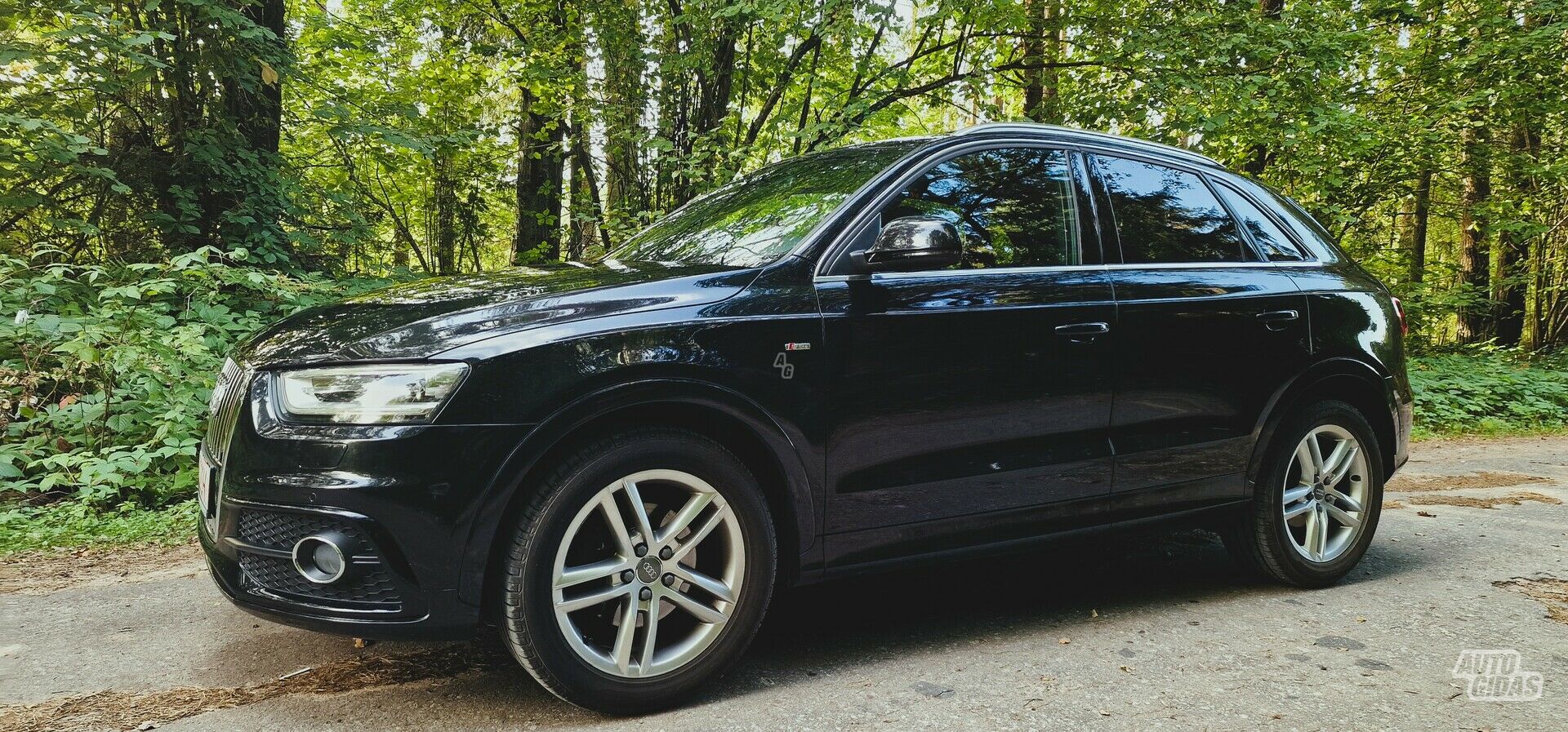 Audi Q3 2013 m Visureigis / Krosoveris