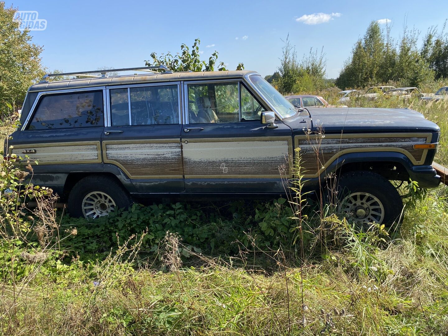 Jeep Wagoneer 1987 y Off-road / Crossover