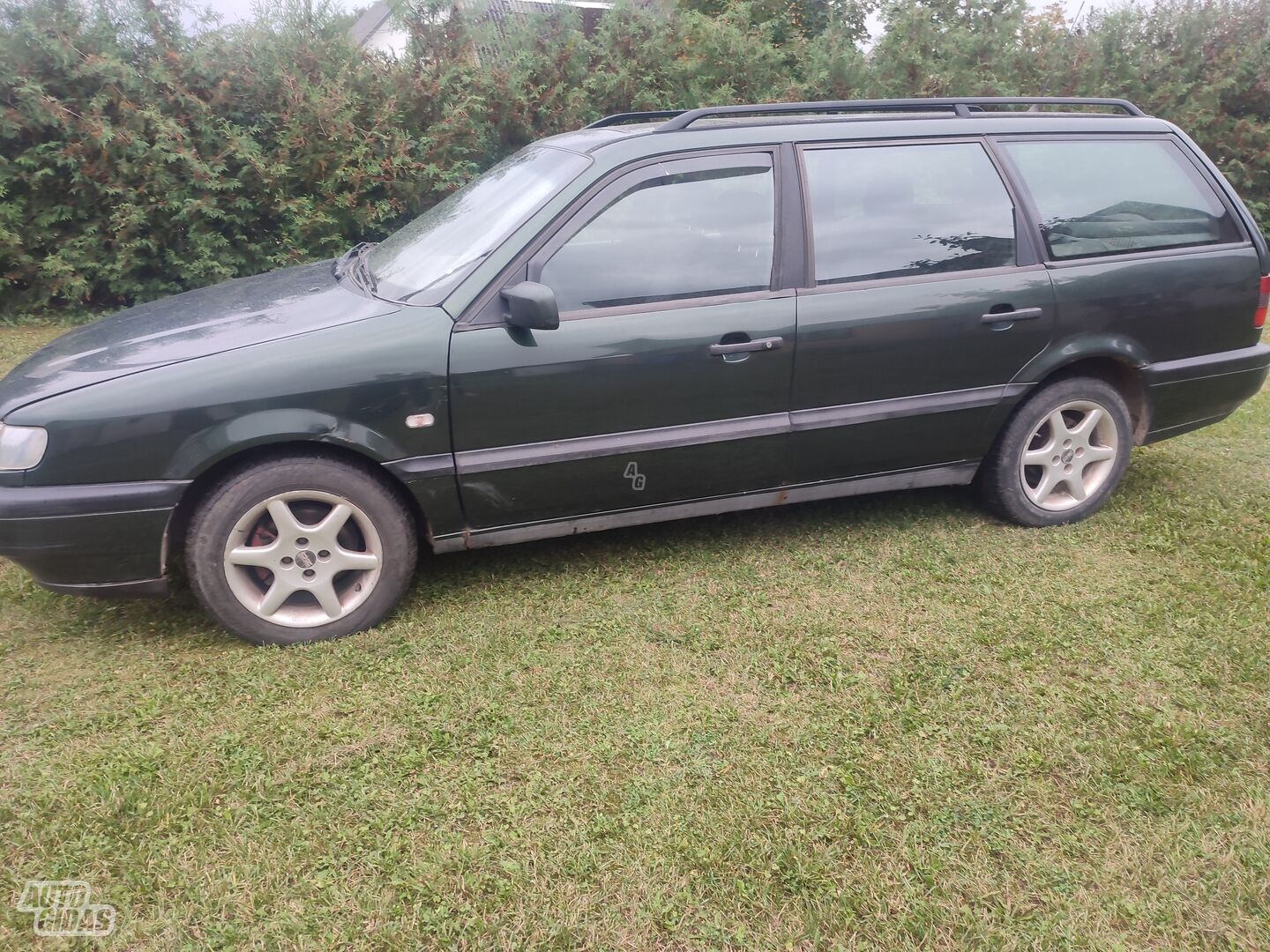 Volkswagen Passat 1995 y Wagon