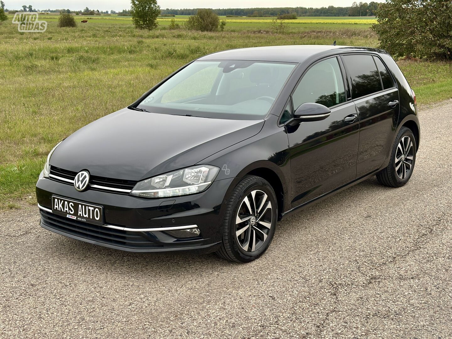 Volkswagen Golf 2019 г Универсал