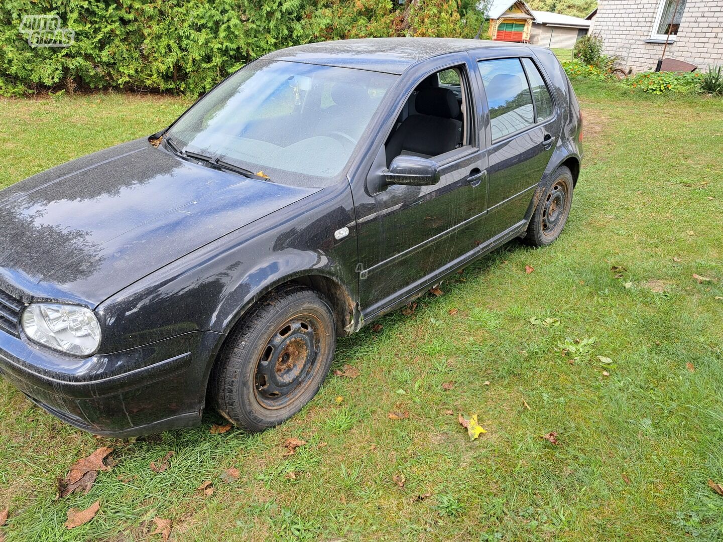 Volkswagen Golf 2003 y Hatchback