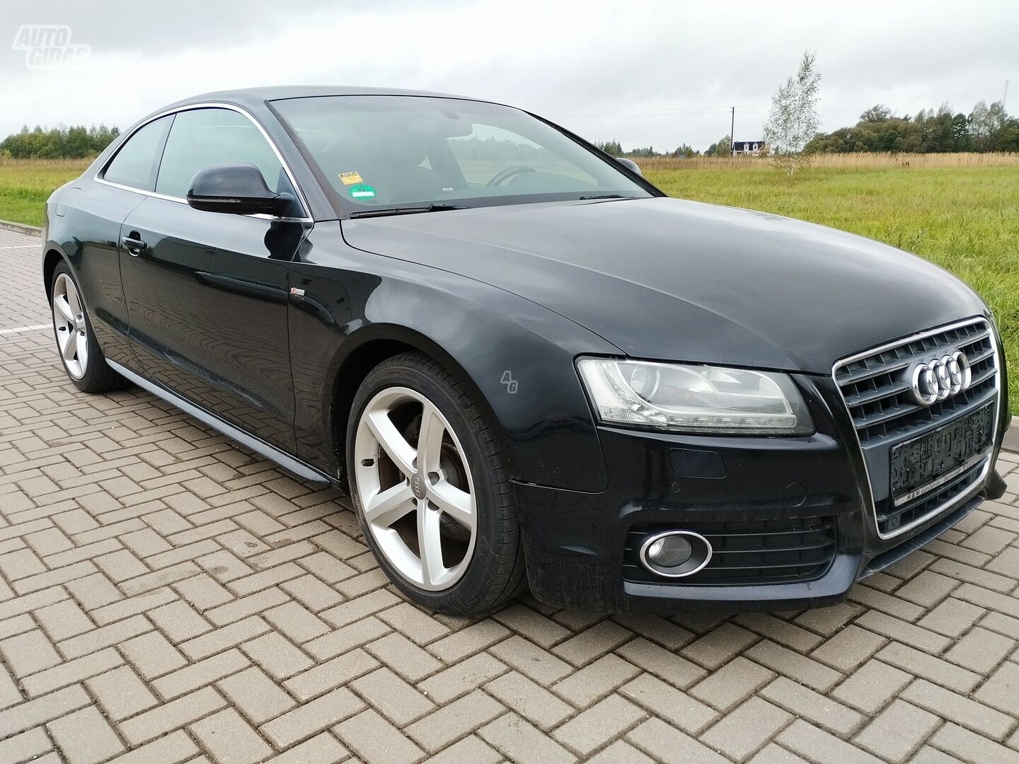 Audi A5 8T3 2009 y