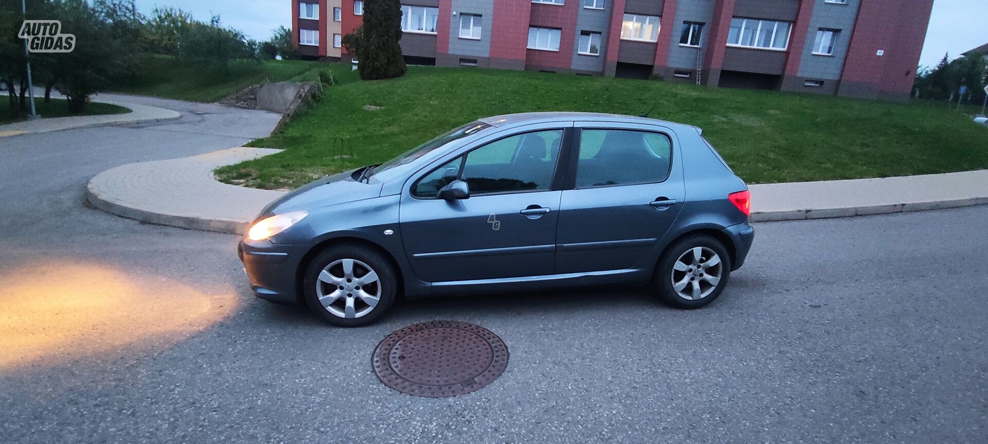 Peugeot 307 2007 y Hatchback