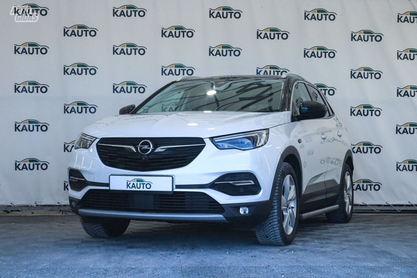 Opel Grandland X 2019 m Visureigis / Krosoveris