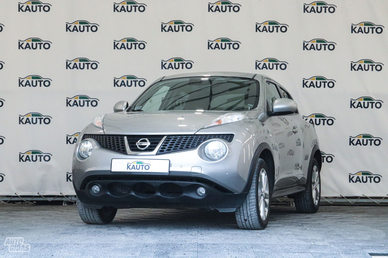 Nissan Juke 2010 г Внедорожник / Кроссовер