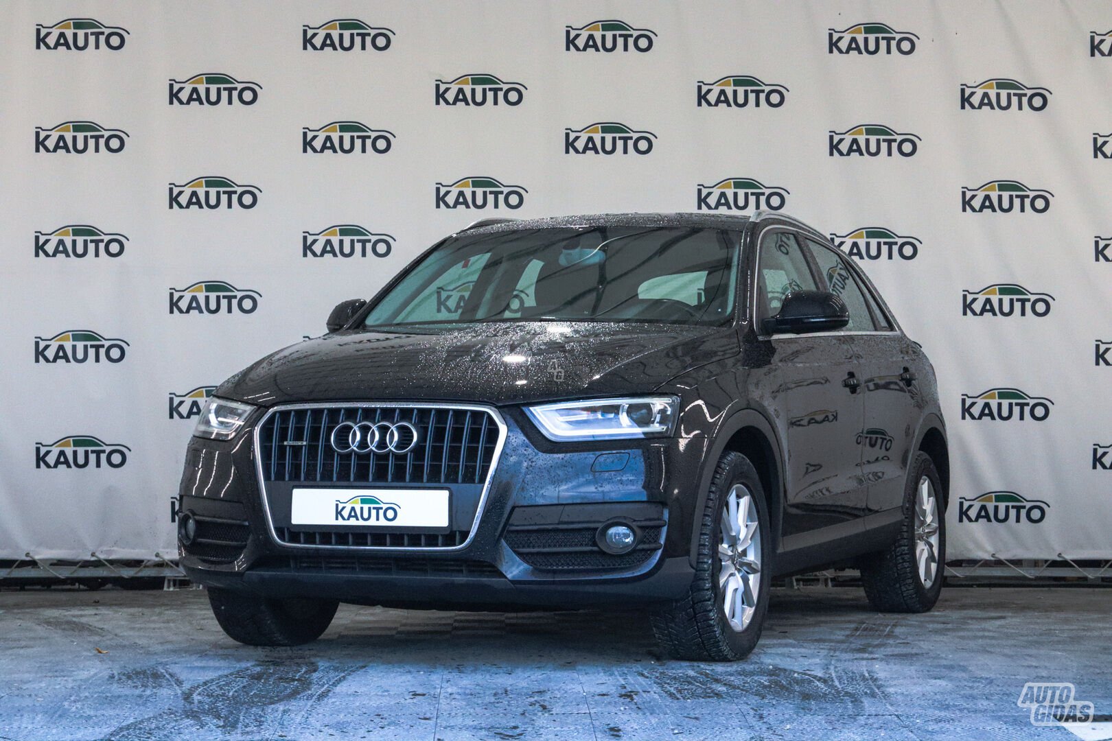 Audi Q3 2012 m Visureigis / Krosoveris