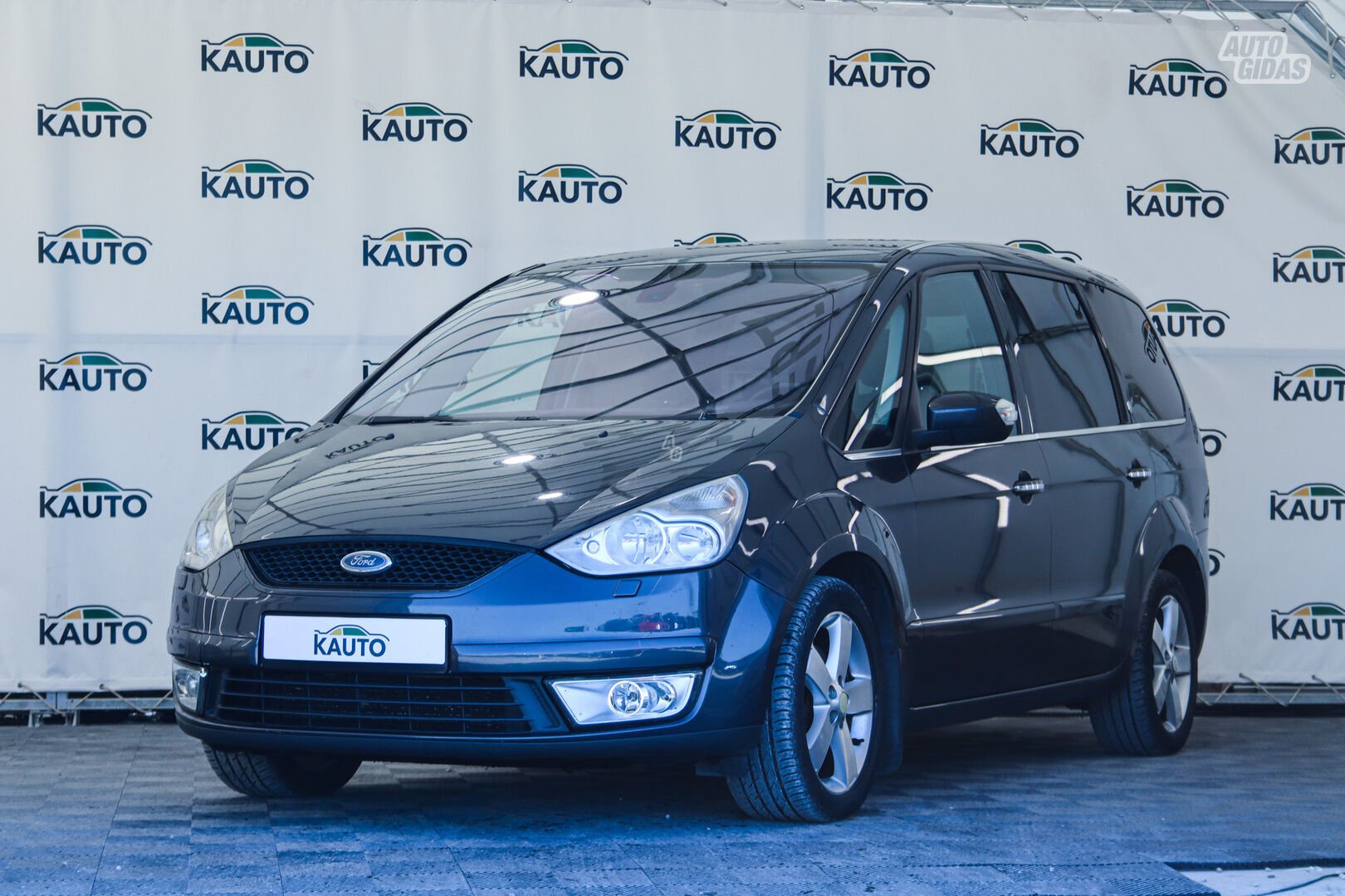 Ford Galaxy 2009 г Минивэн