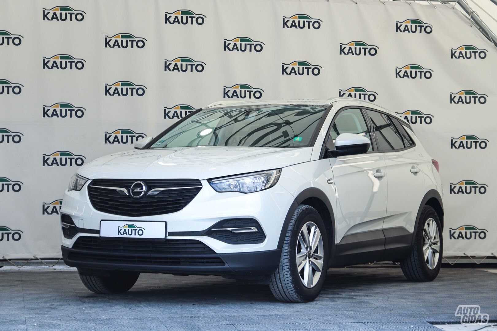 Opel Grandland X 2019 m Visureigis / Krosoveris