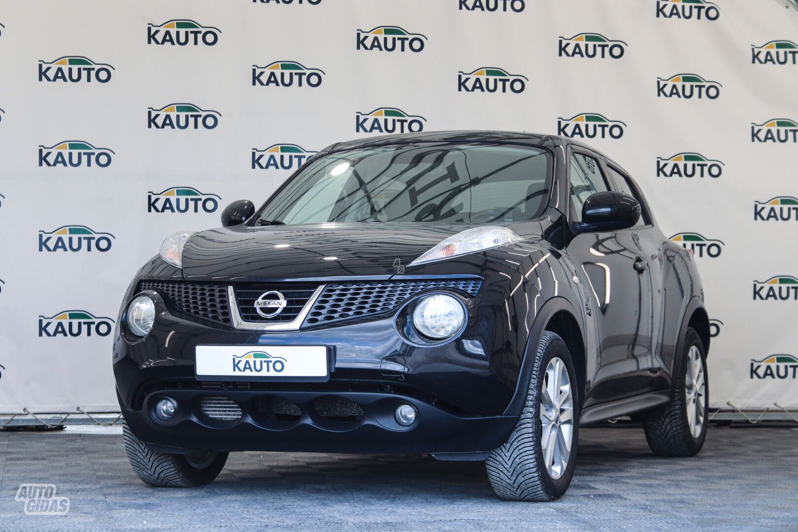 Nissan Juke 2011 г Внедорожник / Кроссовер