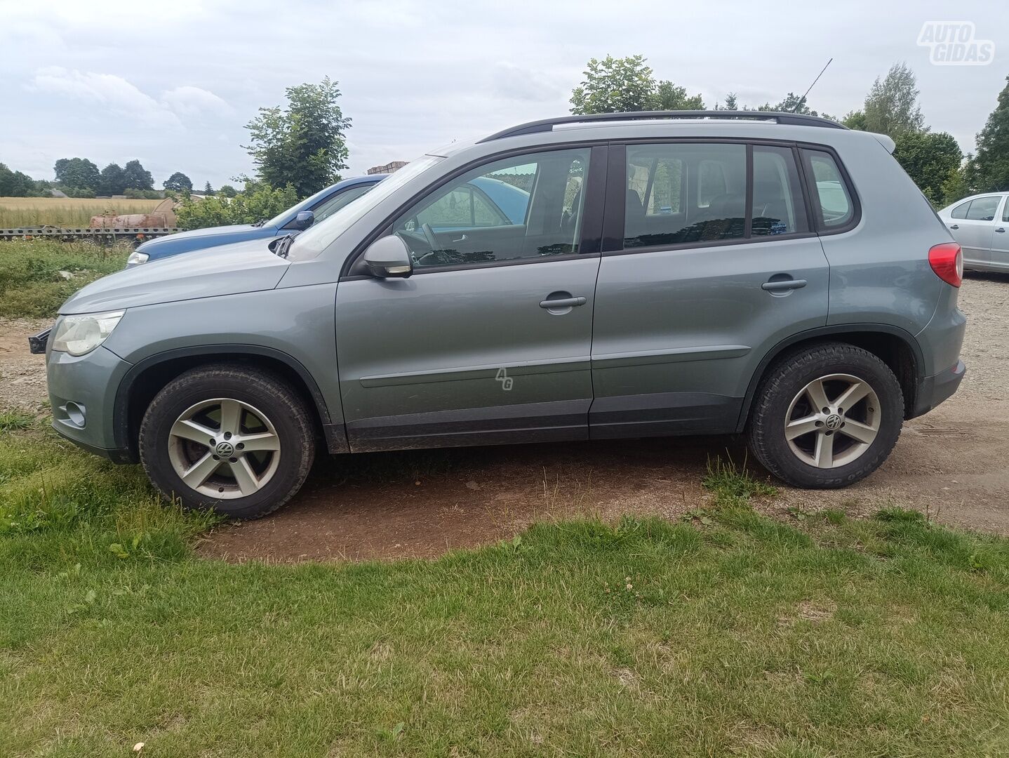 Volkswagen Tiguan 2008 г Внедорожник / Кроссовер