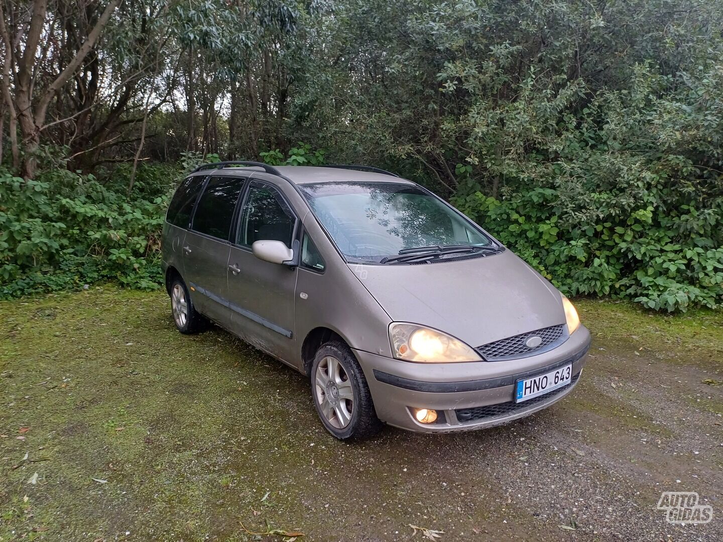 Ford Galaxy 2002 y Van