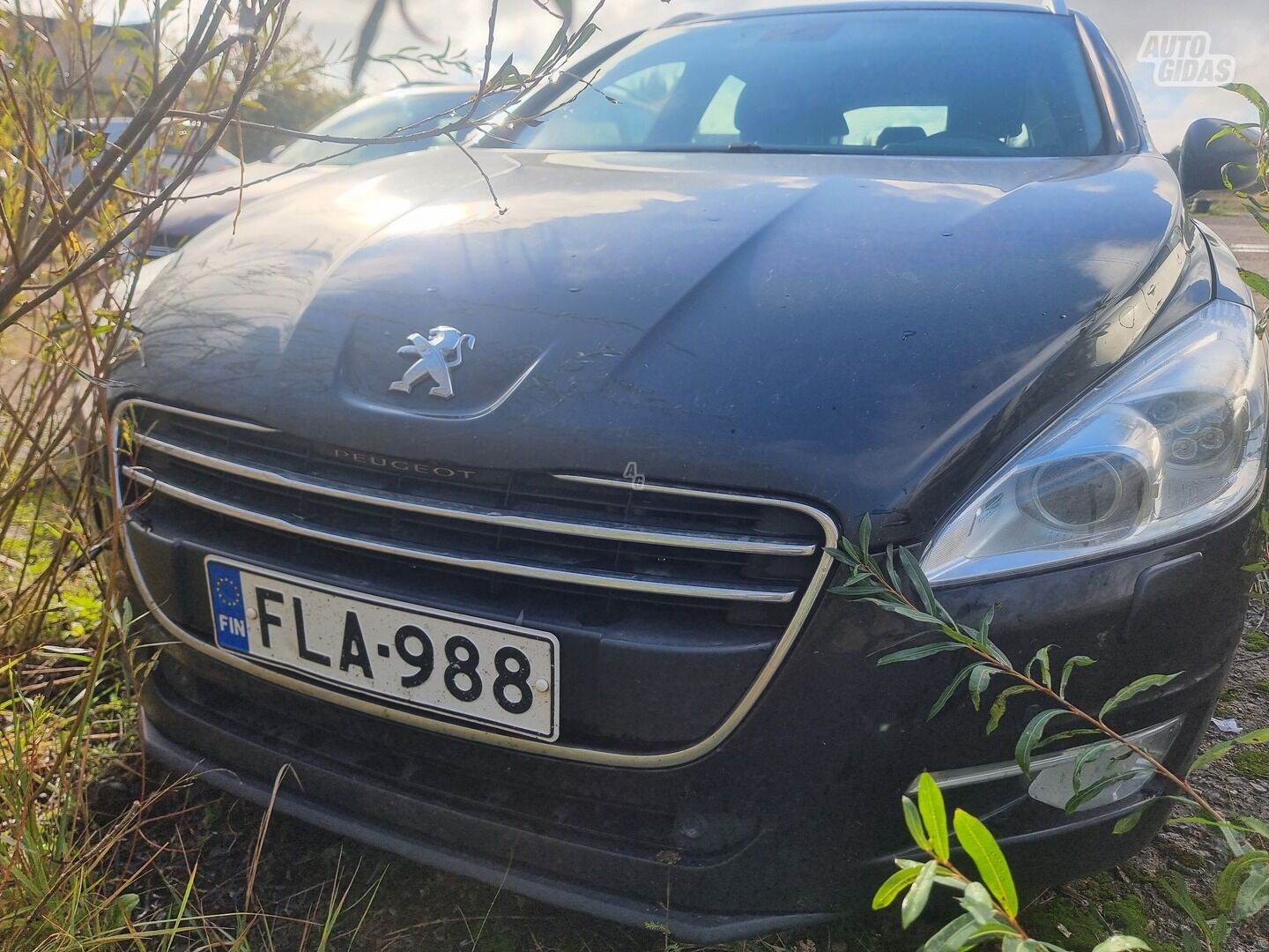 Peugeot 508 2013 y Wagon