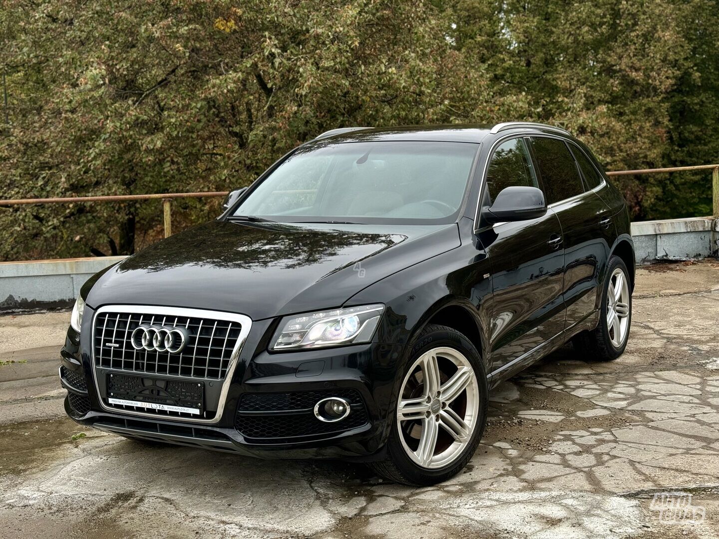 Audi Q5 2009 y Off-road / Crossover