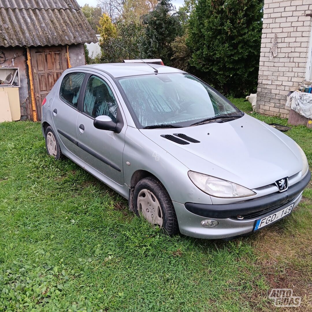 Peugeot 206 2002 m Hečbekas