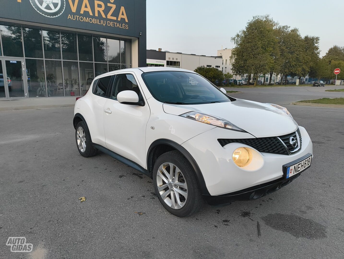 Nissan Juke 2011 г Внедорожник / Кроссовер