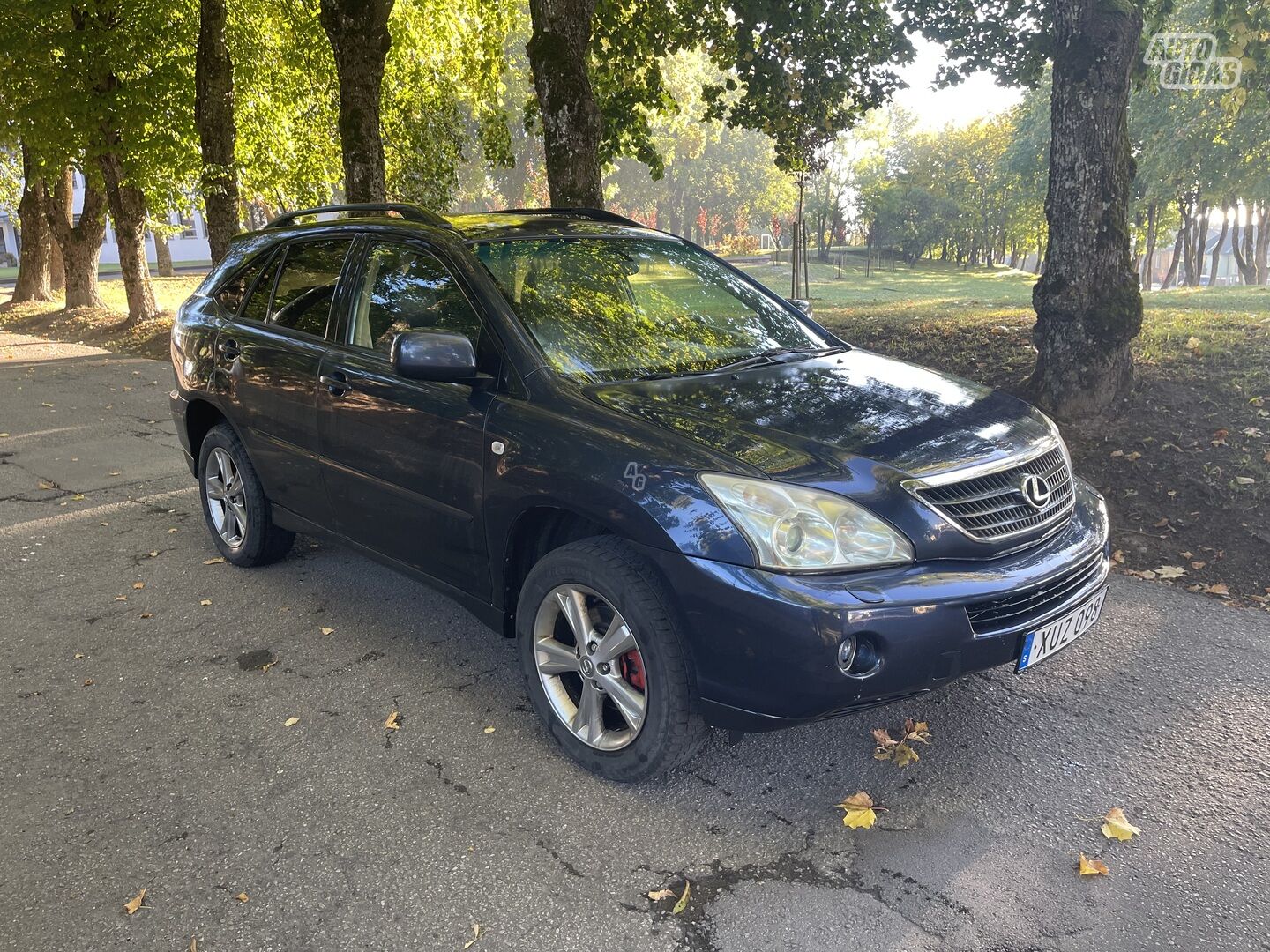 Lexus RX 400h 2006 m Visureigis / Krosoveris