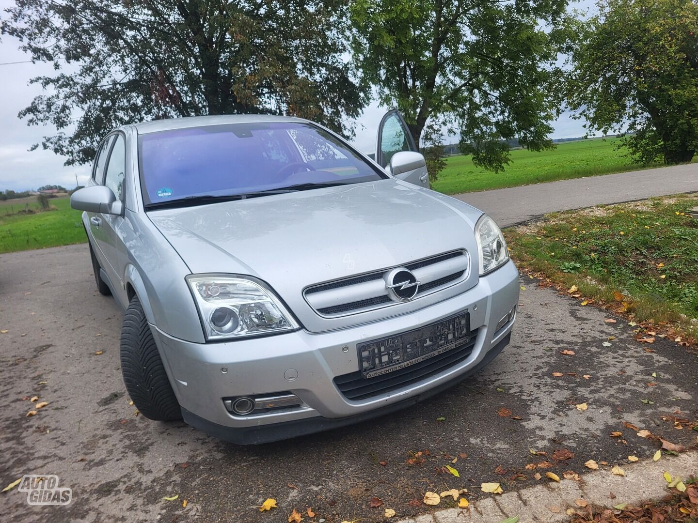 Opel Signum 2004 y Wagon