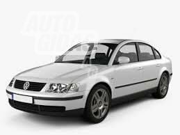 Volkswagen Passat 1999 m dalys