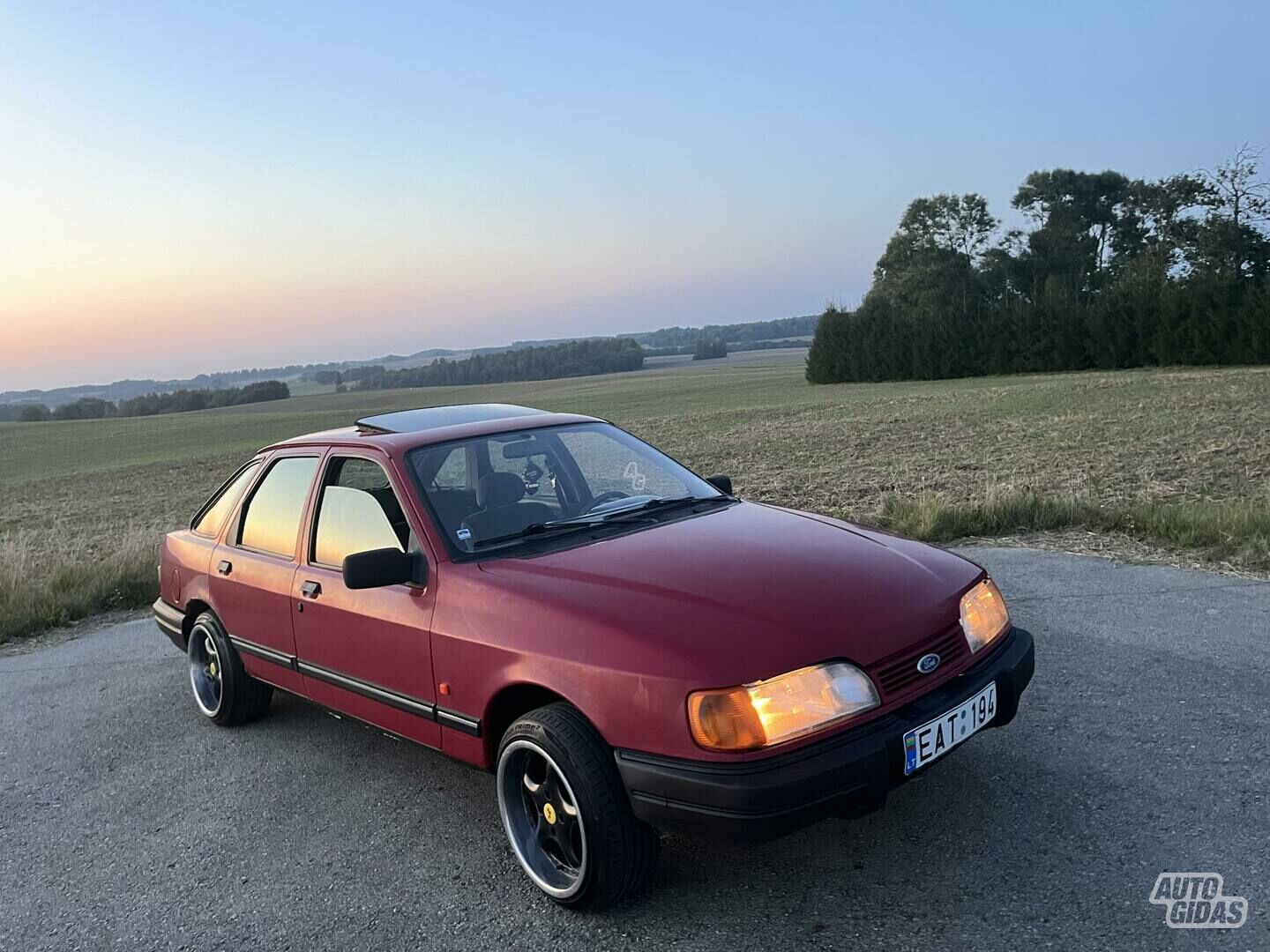 Ford Sierra 4981 1992 y