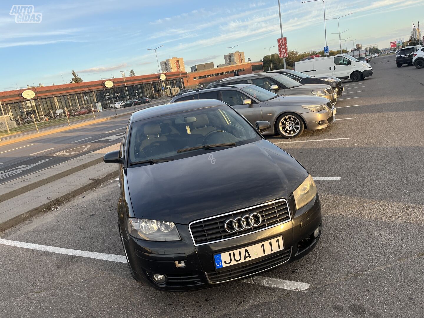 Audi A3 8PA 2005 y