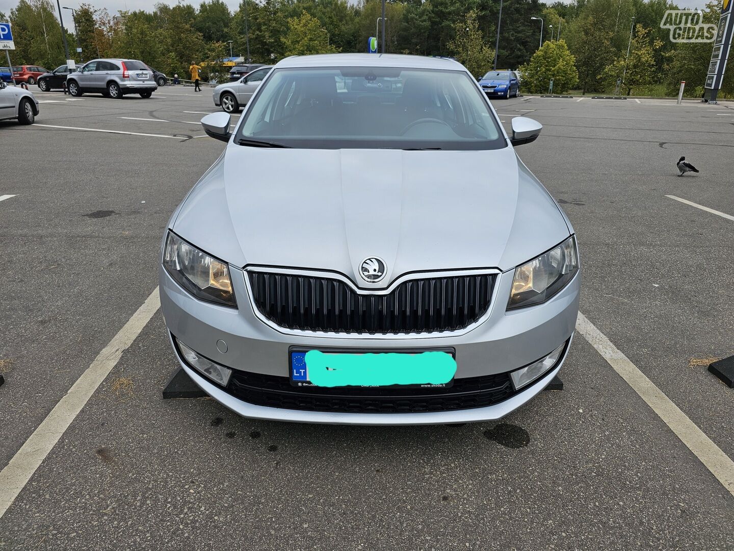 Skoda Octavia III TDI  CR 2014 г