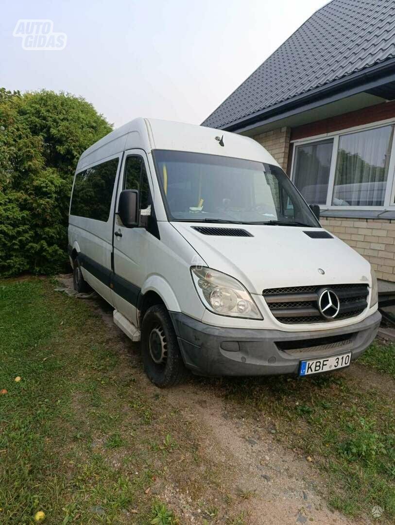 Mercedes-Benz Sprinter 2010 y Minibus