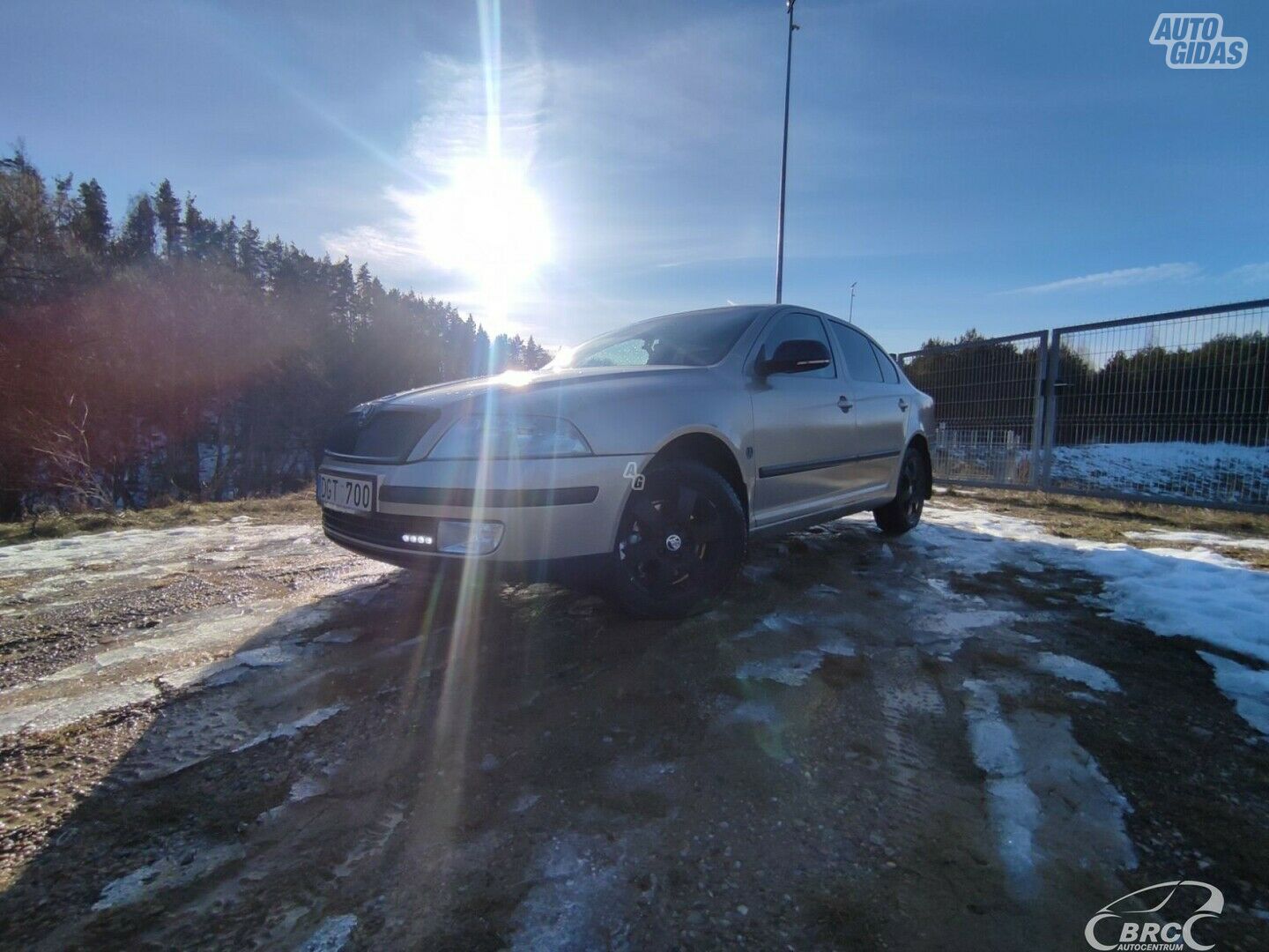 Skoda Octavia 2006 m Hečbekas