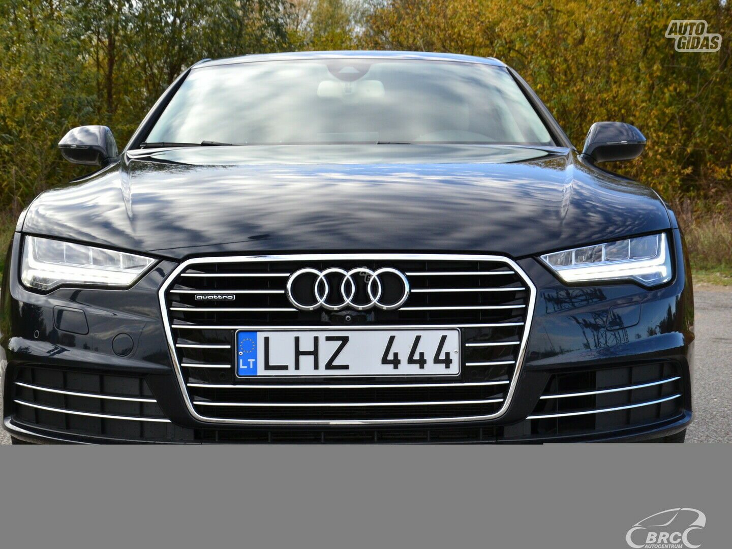 Audi A7 2013 m Sedanas