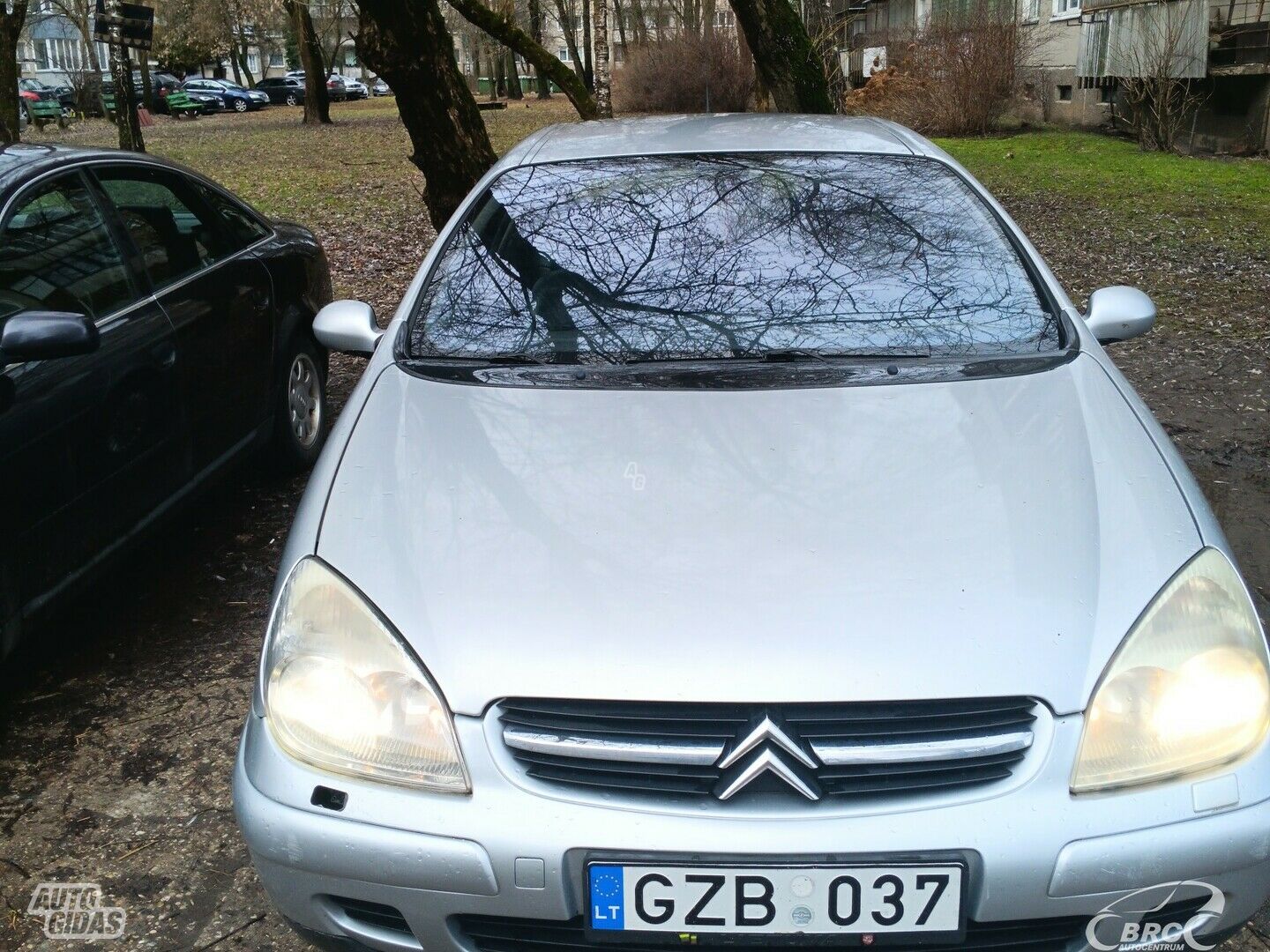 Citroen C5 2002 г Хэтчбек