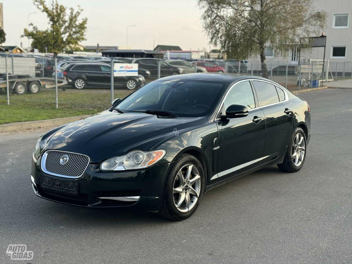 Jaguar XF 2011 y Sedan