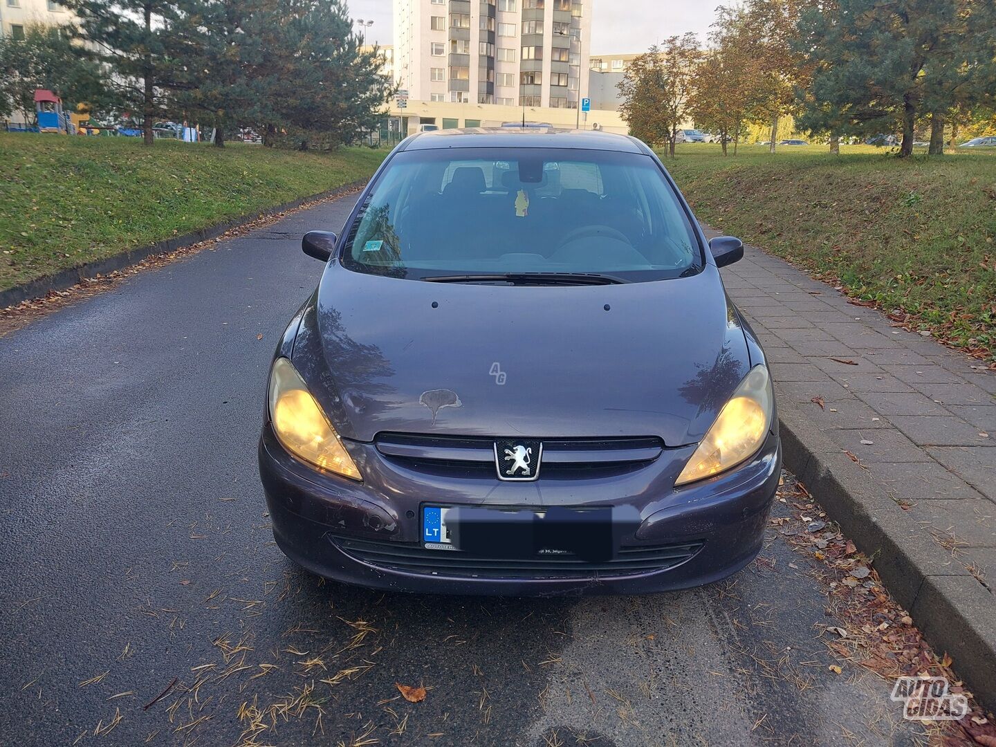 Peugeot 307 2005 y Hatchback