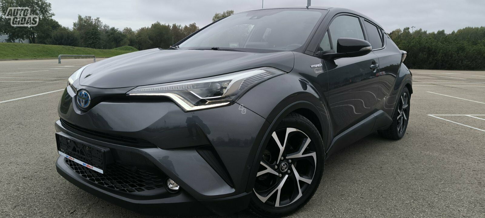 Toyota C-HR 2017 г Внедорожник / Кроссовер