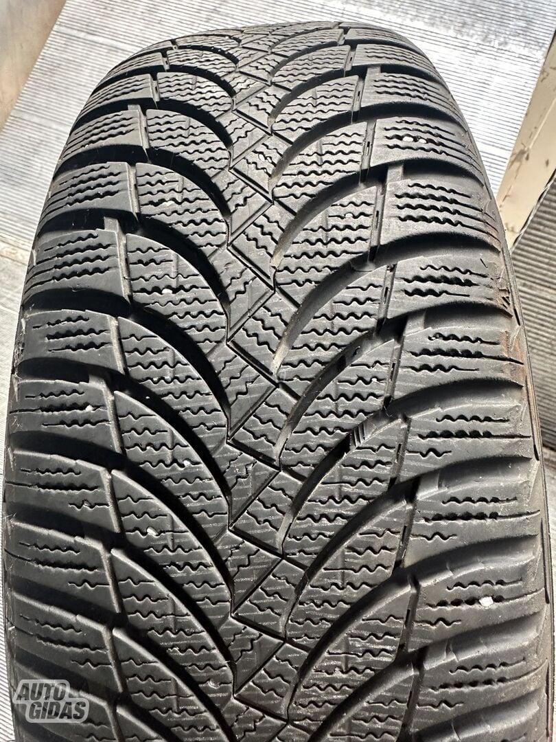 Nexen Winguard R16 universal tyres passanger car