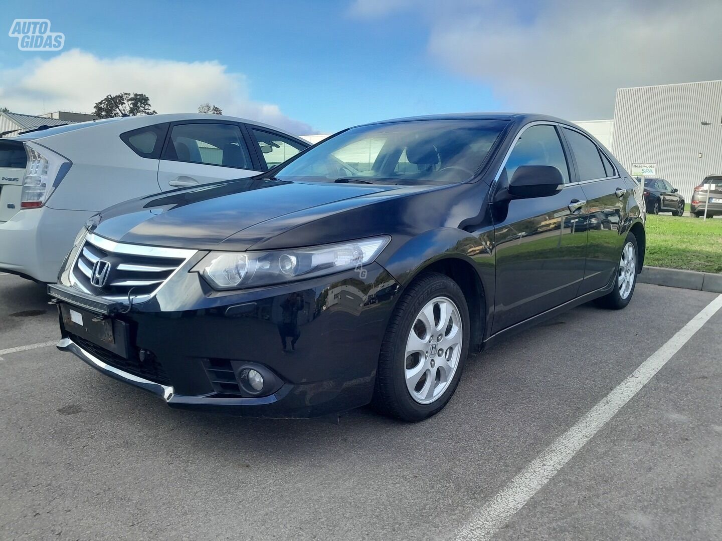 Honda Accord 2011 m Sedanas