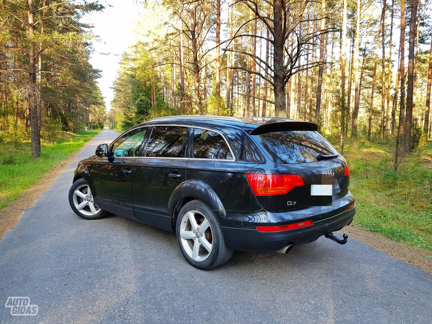 Audi Q7 2008 г Внедорожник / Кроссовер