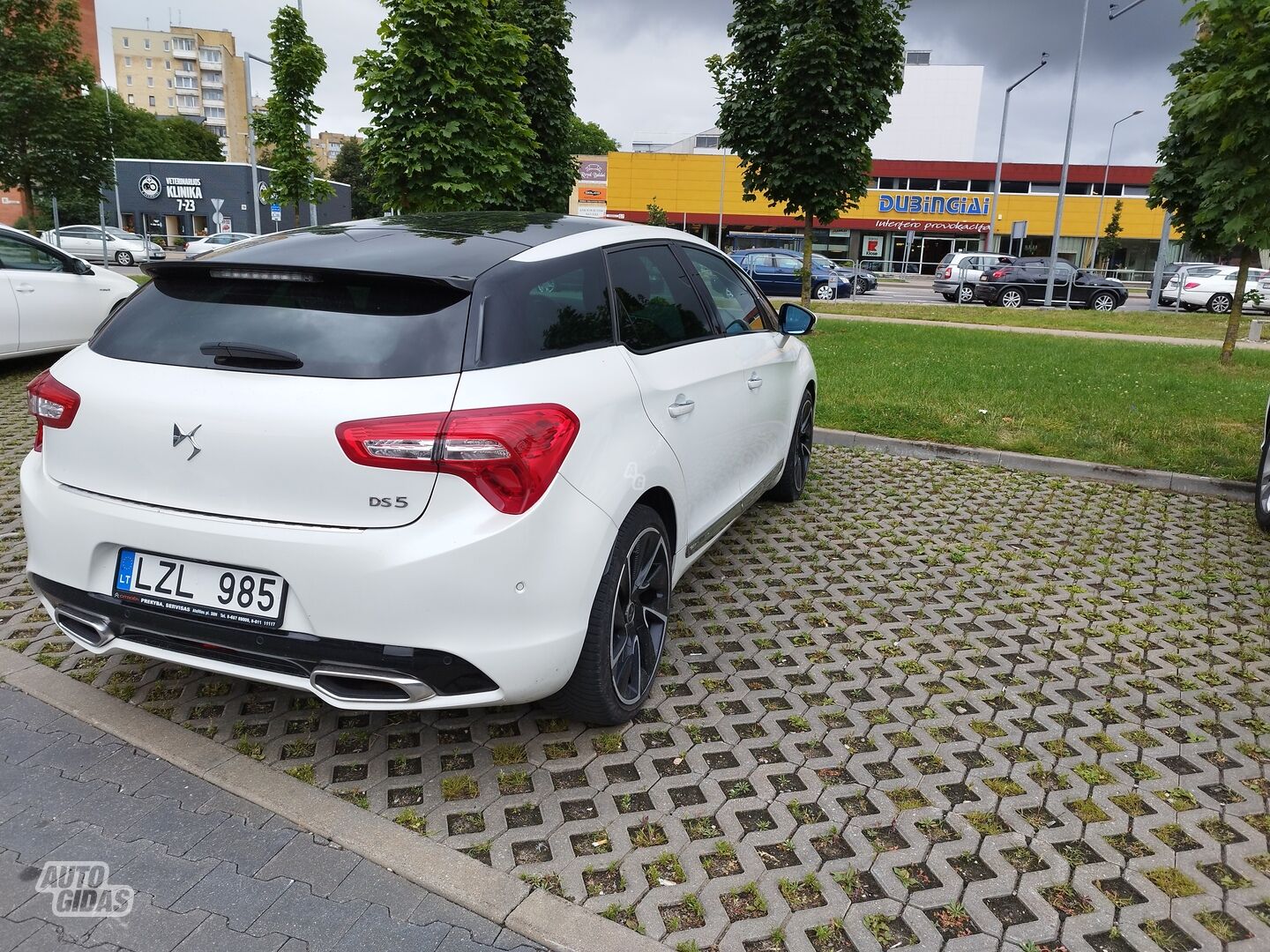 Ds Automobiles DS5 2015 m Hečbekas