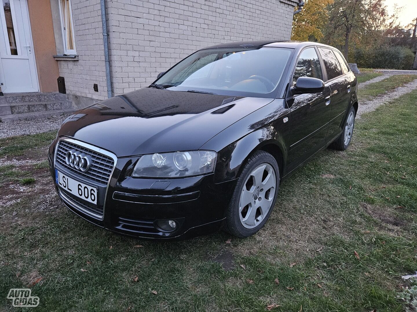 Audi A3 8P Tdi 2007 г