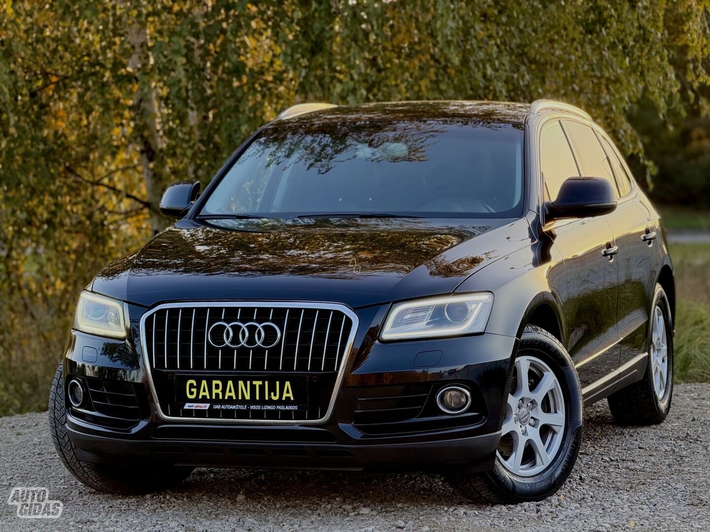 Audi Q5 2013 г Внедорожник / Кроссовер