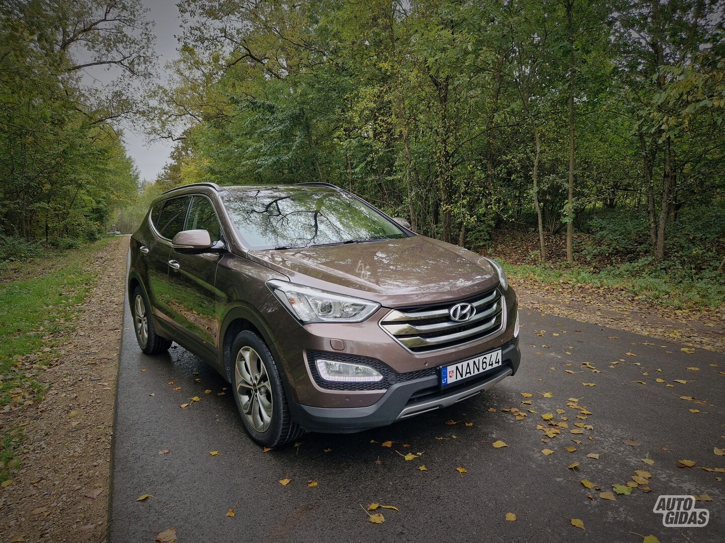 Hyundai Santa Fe III CRDi 2015 m